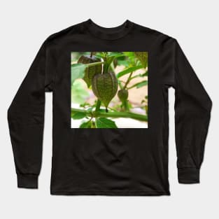 Fresh fruit Long Sleeve T-Shirt